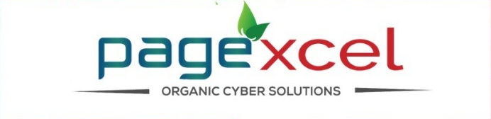 Pagexcel logo