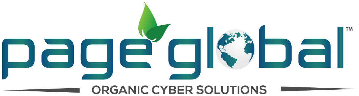 Page Global Logo